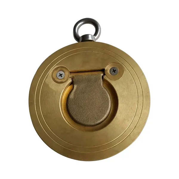Manufacturer Direct Sales Marine Plate Check Valve Ultra-thin Clamp Check Valve