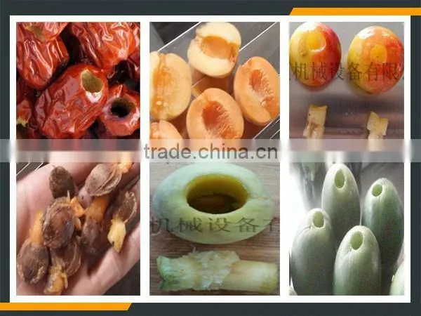 Leader Automatic Leader Pineapple Peeling Juice Machine With Website:leaderservice005 photo-6