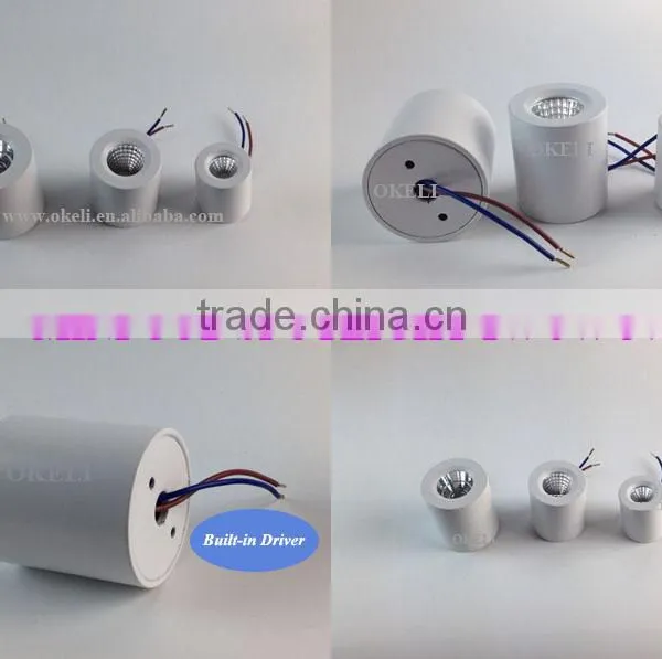 1w 3w 5w Mini Led Spotlight With High PF Driver photo-6