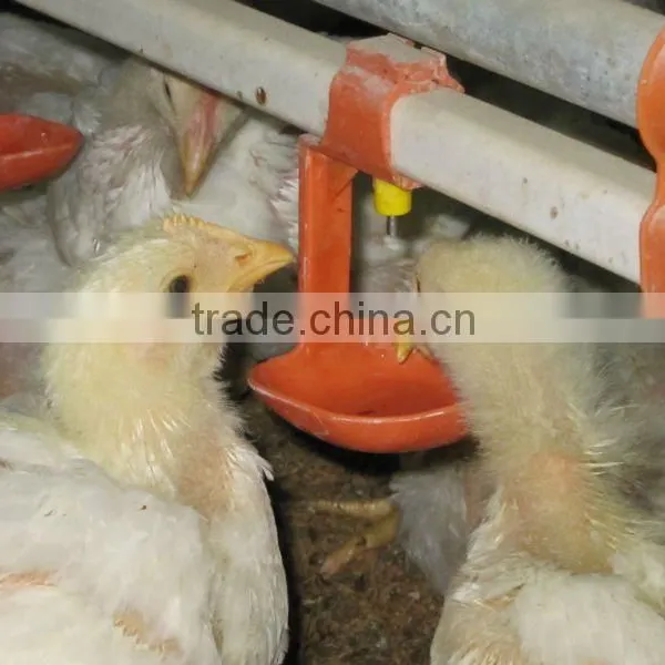 Automatic Poultry Nipple Drinking System photo-6