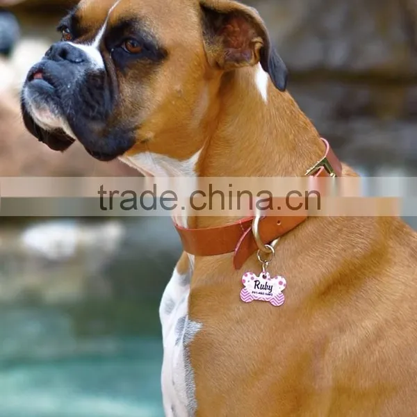 Monogrammed Personalized Pet Tag photo-2