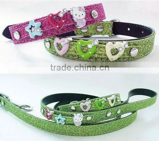 Dog Collar and Leash