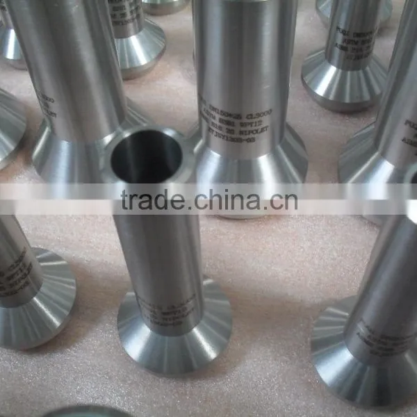 (BSX) BW Butt Welding Ti Pipe Fittings Flanges Reducer Gr 1 2 5 7 11 12 TP 304 316 Q235 Q345 photo-2
