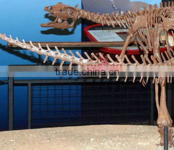 Realistic Dinosaur Skeleton Replica Of Thescelosaurus