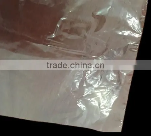 Disposable Elbow Length Long LDPE Glove Withrubber Band photo-4