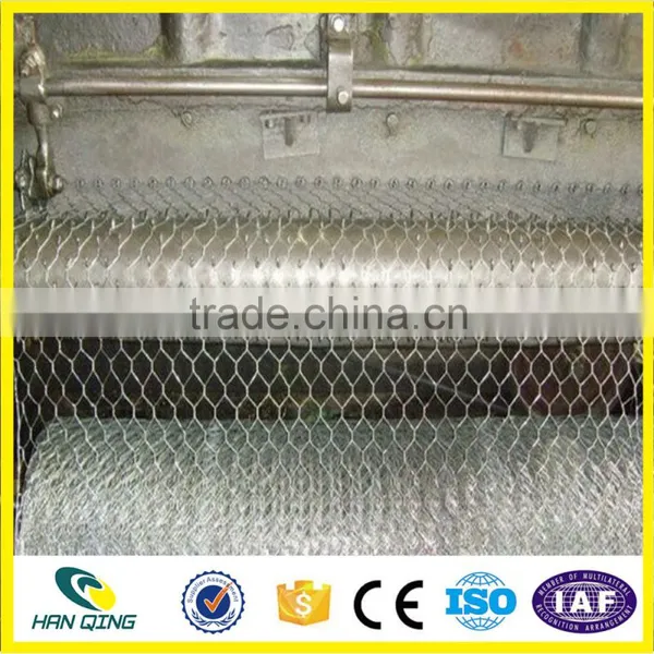 2016 New Product China Supplier Galvanized Hexagonal Wire Mesh photo-6