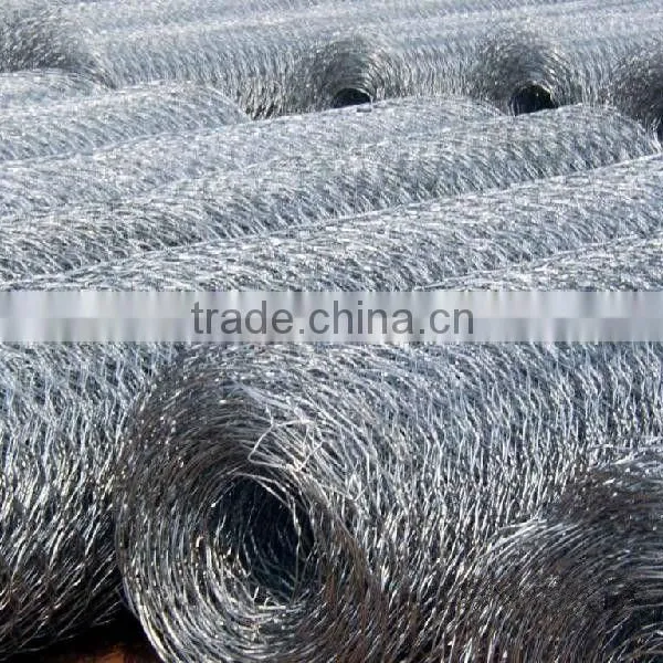 Anping Hexagonal Mesh