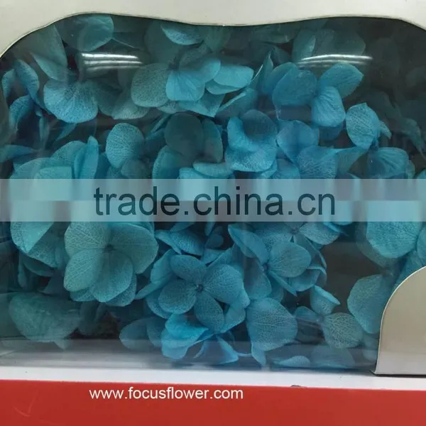 Top Quality Flower Export Preserved Flower Colorful Wholesale Artificial Hydrangea Flowers photo-4