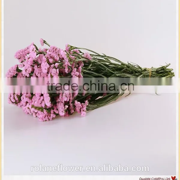 Forget me Not Flower to Make Flower Bouquets photo-6