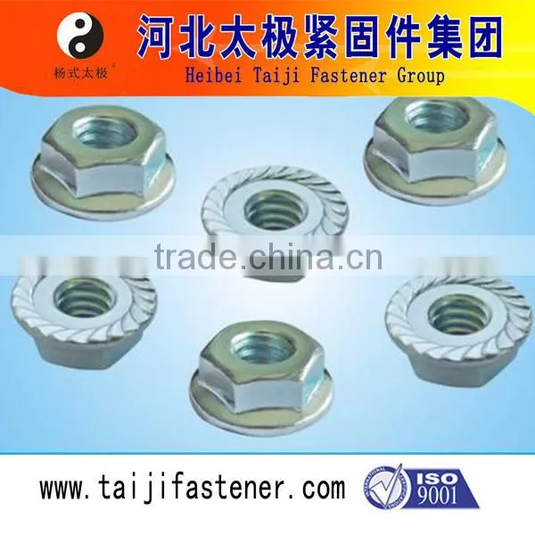 Hex Flange Nut photo-6