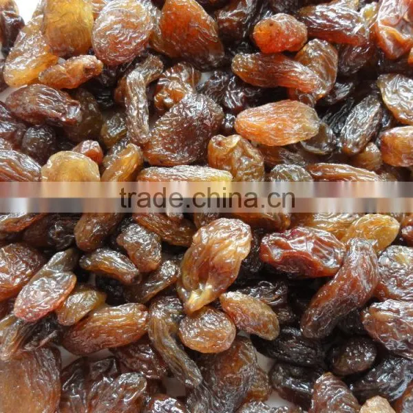 Chinese Brown Raisins for Sale photo-2