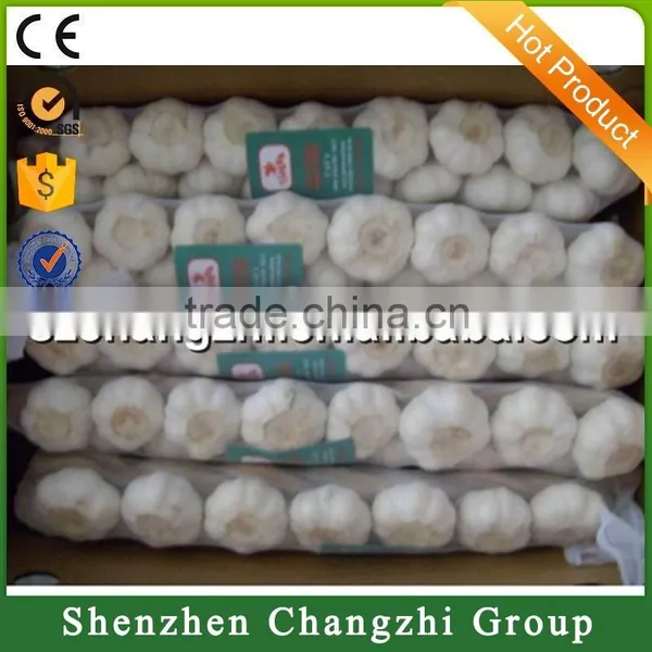 2016 Fresh Normal White Garlic