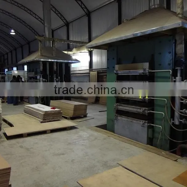 Chinese Wooden Molded Door Hot Press Machine in Full Automatic Line/soft Line photo-6