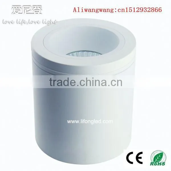 18W 5inch Adjustable COB Led Surface Mounted Downlight With CE&ROHS High Quality China