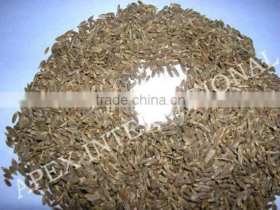 Cuminum Cyminum / Cumin Seeds / Jeera