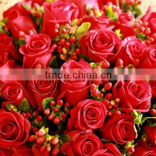 Wholesale Fresh Cut Rose Flowers Roses for Valentine's Day photo-2