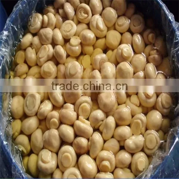 Kinds of Champignon Mushrooms Preserved Agaricus Bisporus in Brined in 50kg Drum