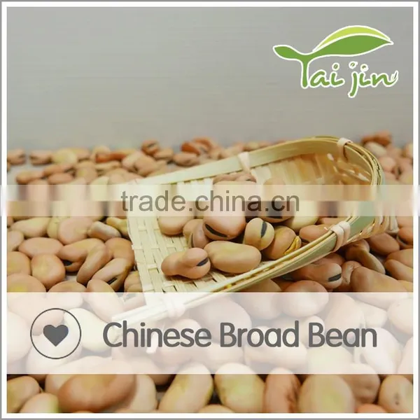 DRY BROAD BEAN photo-6