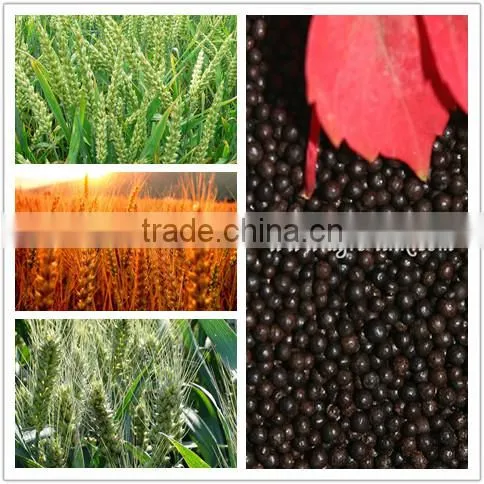 AGROLINK Humic Amino Compound NPK 15-2-3 photo-6