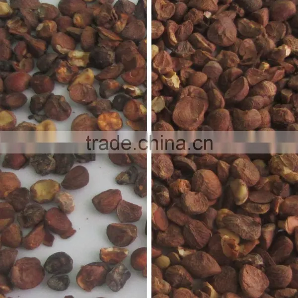 Oil Seed Color Sorter/agricultural Seed Separator/seeds Sorting in Shenzhen photo-4