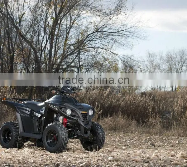CUADRONES photo-2