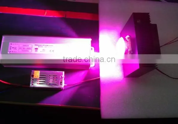 Led Chip Grow Light Kit Diy,100w 7 Band Led Chip for Growing,led Chip 100w photo-3