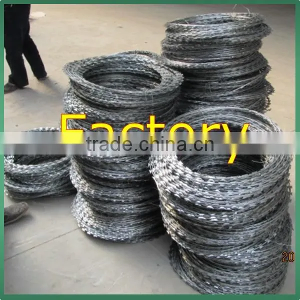 High Tensile Galvanized Sharp Razor Barbed Wire for Security Fence photo-2