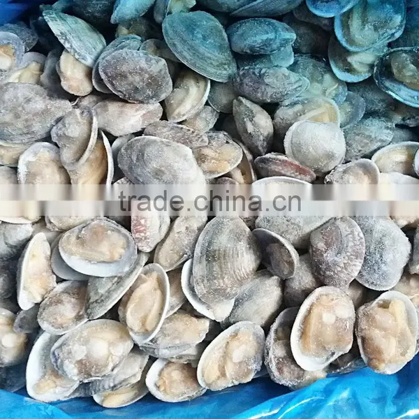Clam Variety Frozen Half-shell Short Necked Clam photo-2