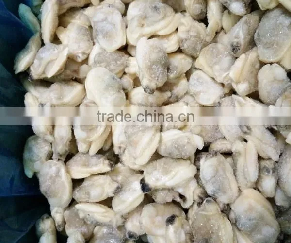 IQF Cooked Baby Clam Meat Without Shell for Export photo-3