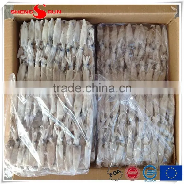 BQF Baby Squid Block Frozen photo-6