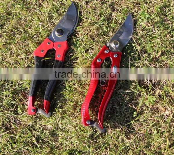 8 Inch Heavy Duty Gardening Grape Scissors Pruning Shears photo-4
