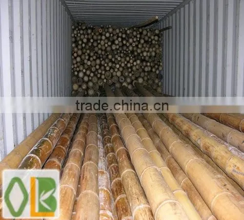 Big Building Bamboo Poles for Hotel photo-3