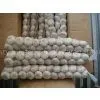 Garlic Factory in China