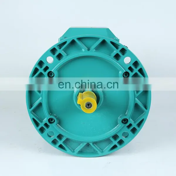 20 hp Hot Sale Three-phase AC Induction Electric Motor Price photo-3