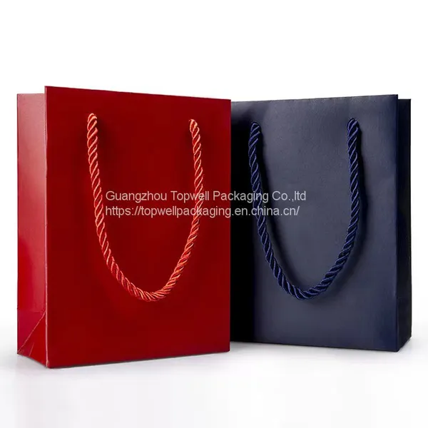 Wholesale Luxury Shoes Clothes Jewelry Packaging Paper Bags Printed Logo photo-3