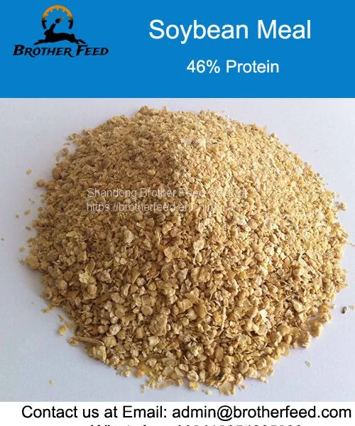46% Protein Soybean Meal - Soya Bean Meal for Animal Feed