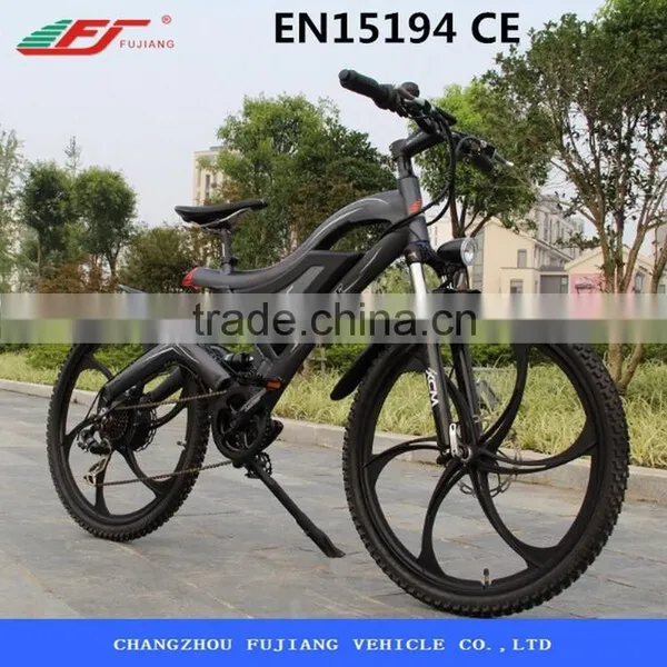 Hot Sale Cheap Electric Bike With Hidden Battery photo-3