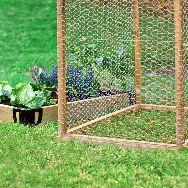 Galvanized Steel Chicken Wire Rolled Fencing 2-in - Mesh Size Factory Direct photo-4