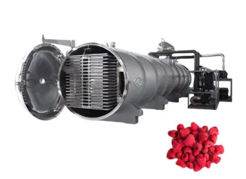 Industrial Commercial 100 Square Meters Capacity Onion Vegetable Vacuum Freeze-drying Machine photo-6