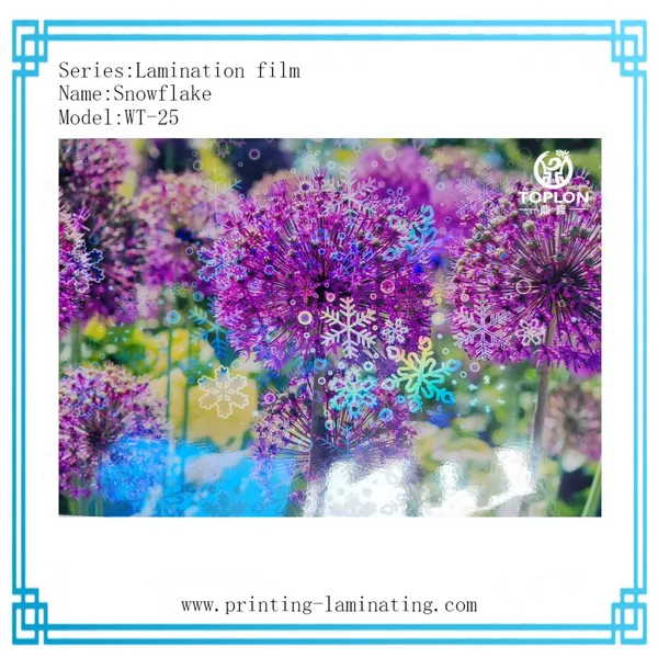 Snowflake/WT-25: 3D Film Laser Film Photo Protection Film Cold Lamination Film for Photos Laminated Roll