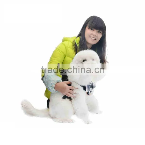 Dog Harness