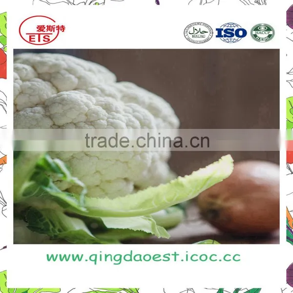 Harvest for Sale in Competitive Price Chinese Fresh Cauliflowers photo-4