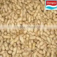 bulk peanuts shell