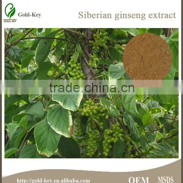 100% Pure Siberian Ginseng Root Extract Powder photo-2