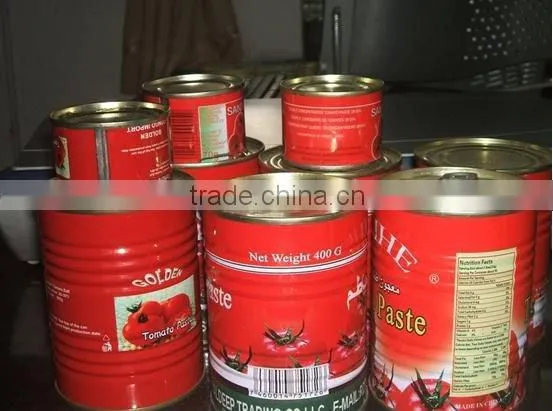 800g Canned Tomato Paste,made in China photo-2