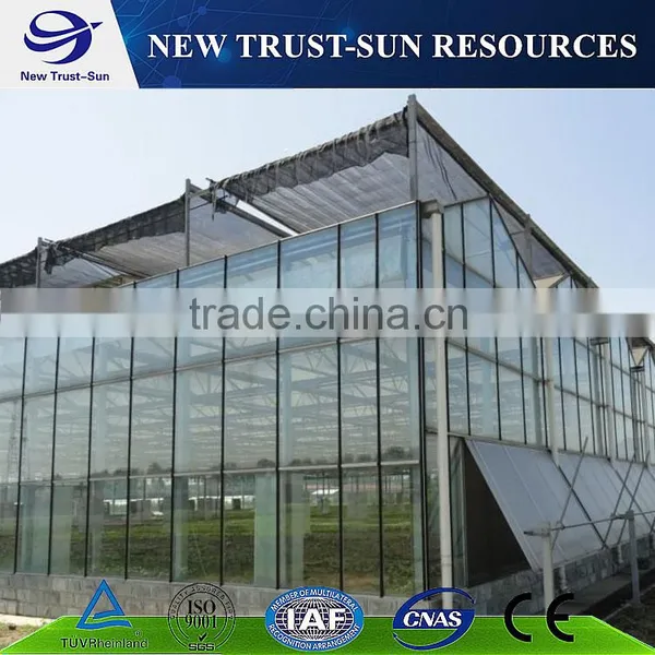 High Light Transmission Multi-span Glass Greenhouse