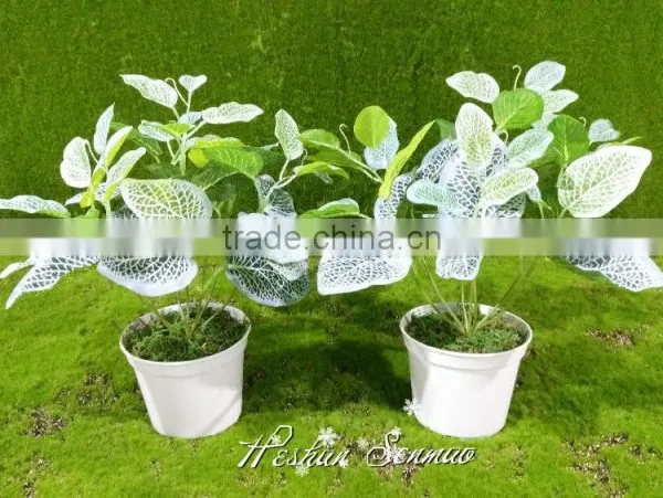 Selling Table Decoration Plastic Grass Bonsai in High Quality photo-3