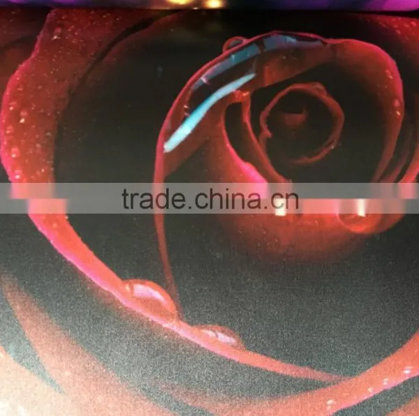 Indoor Silk Fabric CMYK Printing