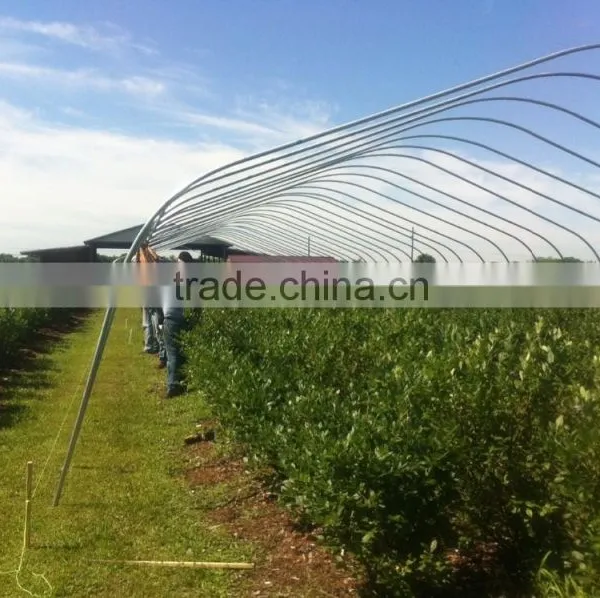 Tunnel Plastic Greenhouse photo-5