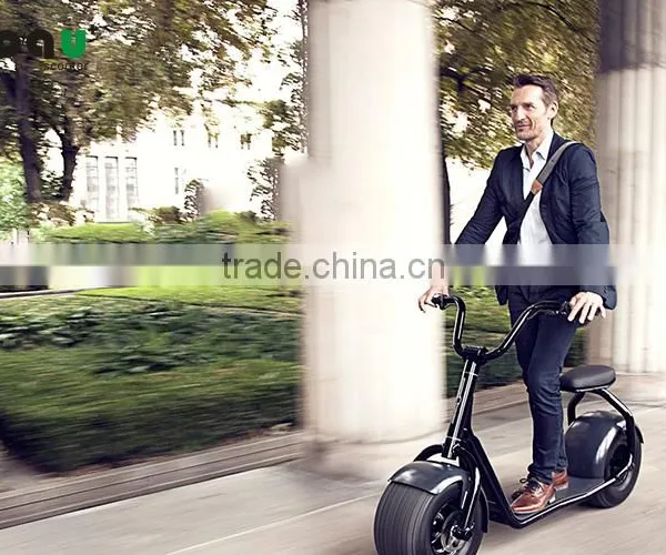 China Supply New Design 2 Wheel Fat Tire Bicycle Electric Motor Electric Scooter photo-6